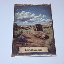 Petrified Forest National Park Postcard Arizona Scenic Art Print Souvenir P2