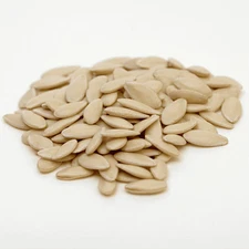 10 + Diva Cucumber Seeds (Hybrid) | AAS Winner | Non-GMO | Free Shipping 