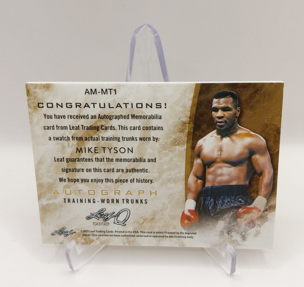 leaf ボクシング　マイク・タイソン　サインカード 2015 Leaf Mike Tyson Autograph Card マイクタイソン 直筆