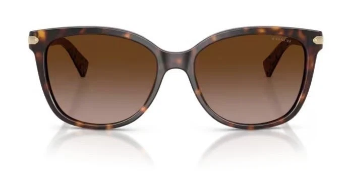 Gafas de sol Coach 0HC8132 529113 57 mm tortuga oscura Foto 3 de 4