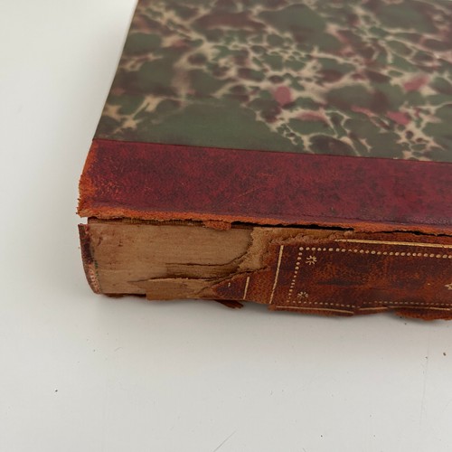 Complete Set Djurens Varld 14 Volume Quarto Animal World Books Swedish RARE Vtg - Imagen 14 de 18