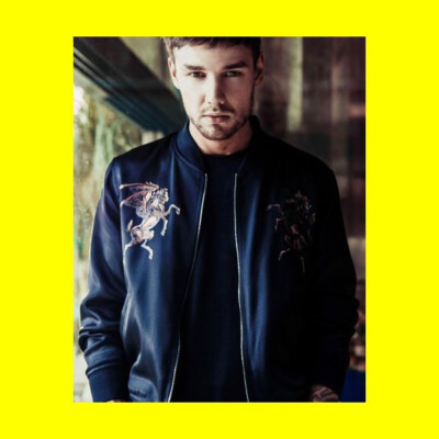 Liam Payne #B1Q137 - 8x10 Photo Printed at a Lab