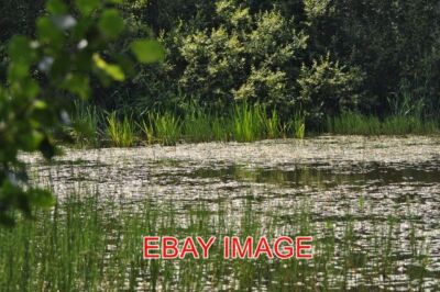 FOTO ALVECOTE POOLEY FELDER - BLICK ÜBER EINEN POOL, EIN WASSERBECKEN IN DER UMGEBUNG.