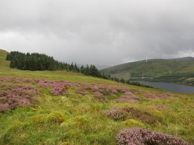 Photo A3 Col between Craigbraneoch Rig and Cannock Hill A view across th c2020