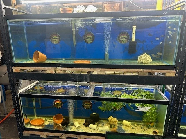 Б/У аквариум 110 галлонов (только аквариум, БЕЗ подставки) - Изображение 2 из 3