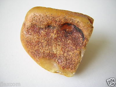 Butterscotch Roh Bernstein 8,2 g / 3,0 x 2,9 x 1,9 cm Raw Butterscotch Amber