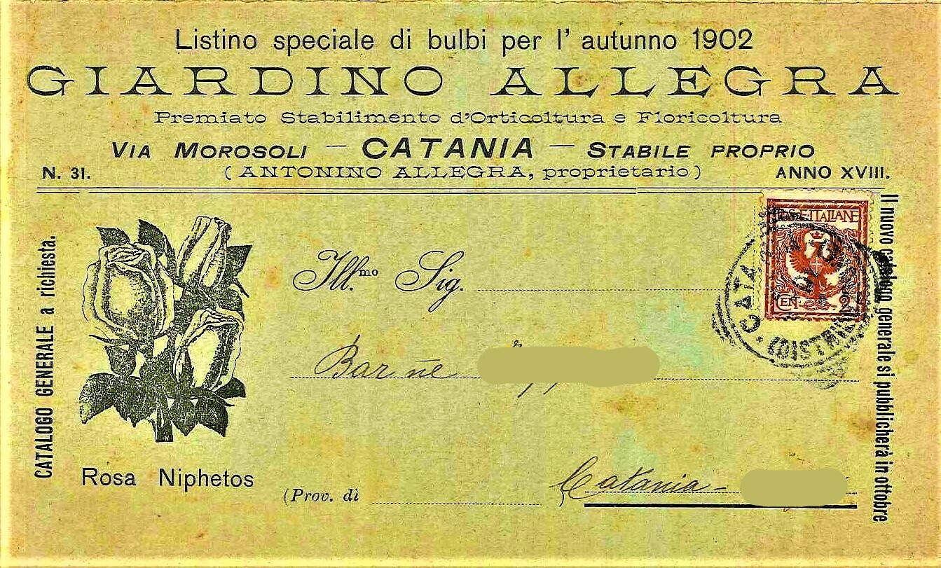 Foto 1 di 3