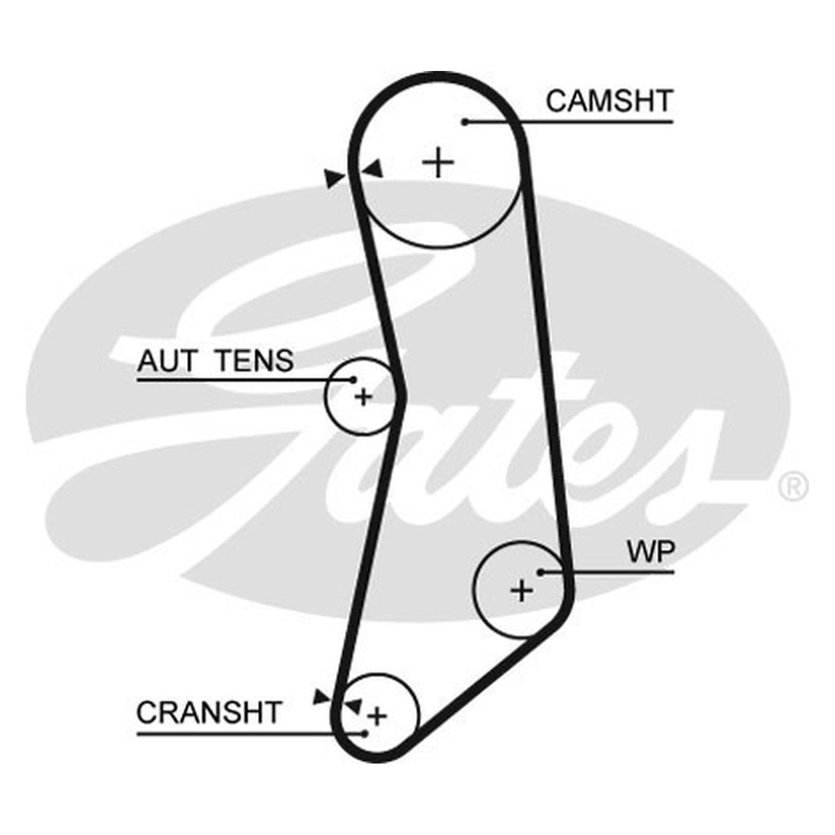For Fiat 500 C 312 Genuine Gates Timing Cam Belt Kit Set UK