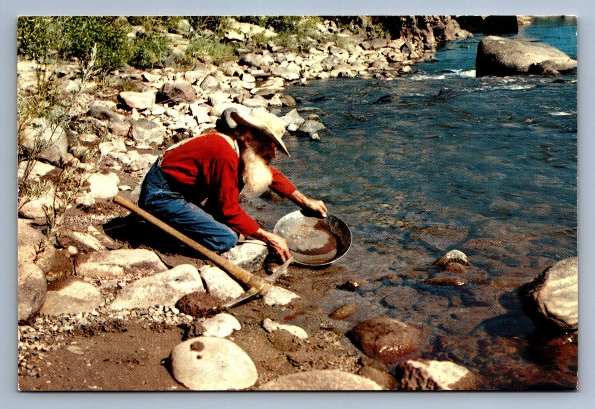 Look for Gold where you Know it is, Gold Prospecting, The New 49ers