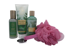 Bath  Body Works Eucalyptus Spearmint BODY MIST SHOWER GEL LOTION 3 PC  Sponge