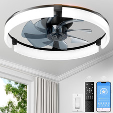 Ceiling Fans with Lights and Remote 20 Inch, 3200LM LED 6-Speed Fan, Low Profi