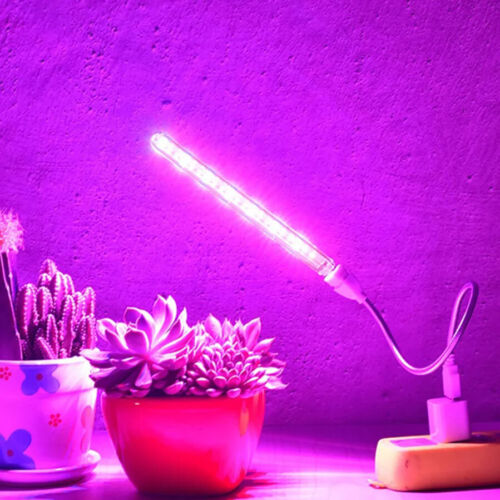 LED Full Spectrum Plant Lamp USB Grow Light Seedling Growth Hydroponic Lighting - Foto 1 di 20