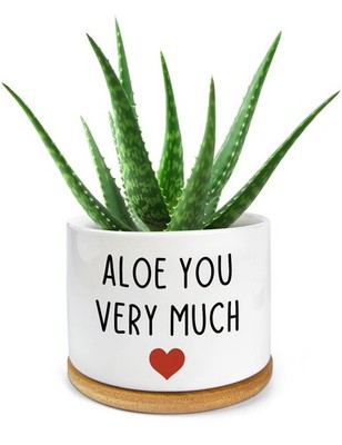 Engraved Ceramic Succulent Planter Pot for Home Office, 3.8 Inch Gift Idea