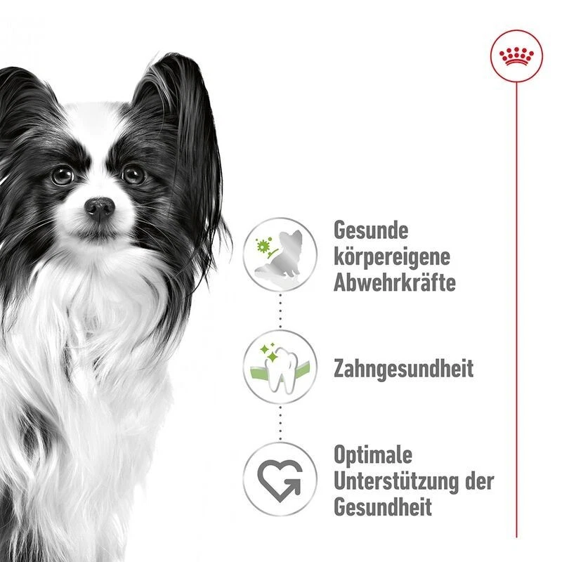 Royal Canin X-Small Adult Trockenfutter 2x3kg für sehr kleine Hunde - Bild 3 von 4