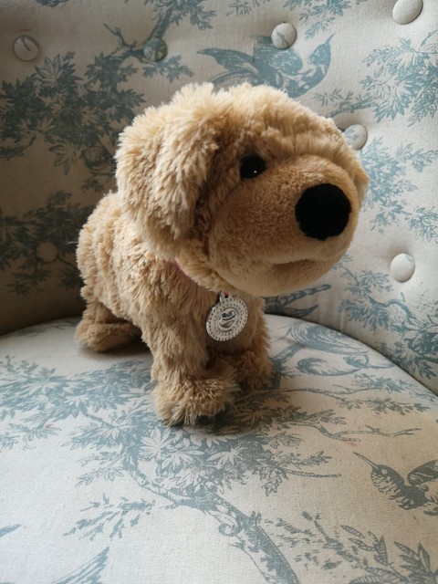 baby born train andy