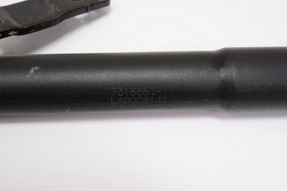 Puerta levadiza izquierda maletero izquierdo BMW X6 cilindro hidráulico puntal OEM 2015-2017 Foto 4 de 4