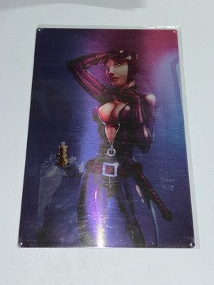 DC Comics 18x12  Selina Kyle As Cat Woman With Mask Off Fan Art Metal Poster