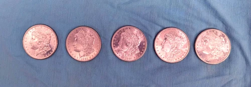 lot of 5 1881 S  (San Francisco) Morgan Silver Dollar - 90% silver uncirculated