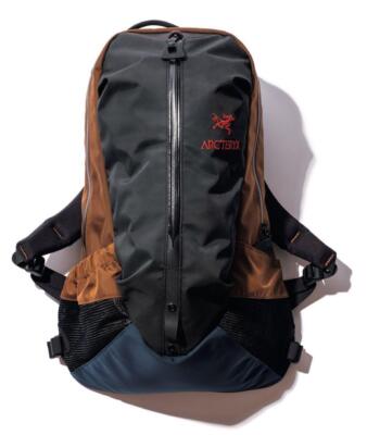 Arc'teryx Arrow 22 Beams Bespoke | eBay