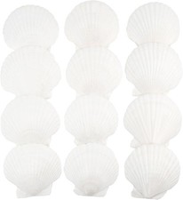 12 PCS Scallop Shells Natural Seashell, 4" to 5" White Scallop Shells Large S...