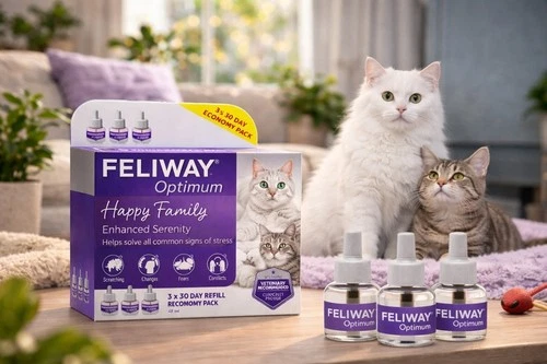 Feliway Optimum 30 Day Refill X 3 Value Pack | 48ml cat Calming Diffuser - Picture 1 of 7