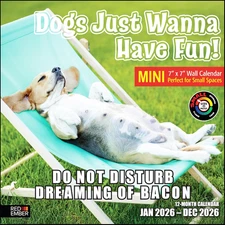 Dogs Just Wanna Have Fun 2026 Mini Wall Calendar 12 Month | 7" X 14" Open | Thic