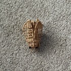 Vtg Wicker Bug Insect Fly Boho Woven Sculpture Bug Decor Cottagecore MCM Cricket — photo 8