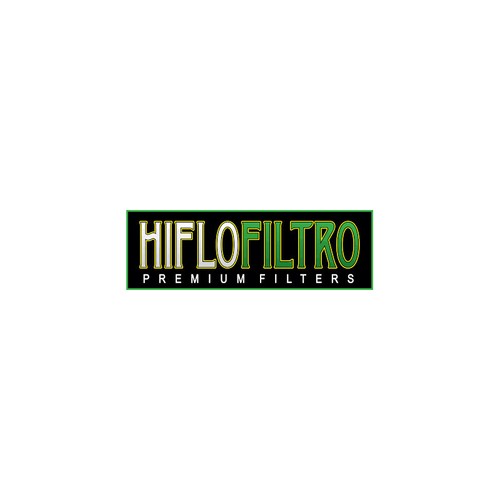 Filtro aria + Filtro olio BMW F 800 GS 2007-2018 / Kit Tipo Originale HIFLO F800 - Foto 3 di 5
