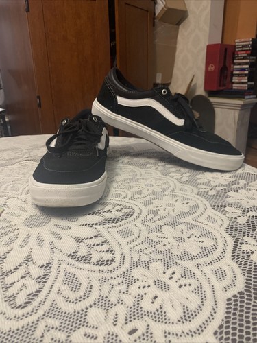 Suede Canvas Skater Low 
