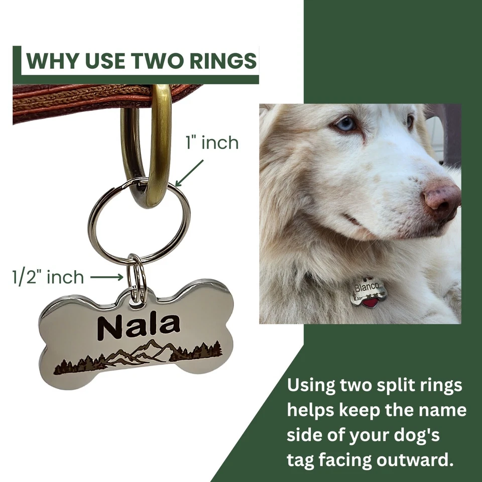 Deep Engraved Bone Pet ID Tag – Stainless Steel, Double Sided, Lifetime Warranty - Image 3 of 4