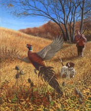Ceramic Backsplash Tile Mural Sport Kitchen/Bathroom - Pheasant Hunt