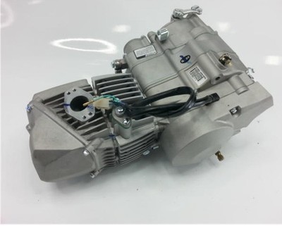 Daytona Anima 190cc Engine FS5 Model