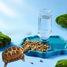 1pc - Reptile Feeder, Turtle Food Dish, Small Pet Bowl for Reptiles and Amphibia