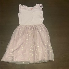 Cat & Jack Light Purple Dress with Daisy and Gold Tulle Skirt