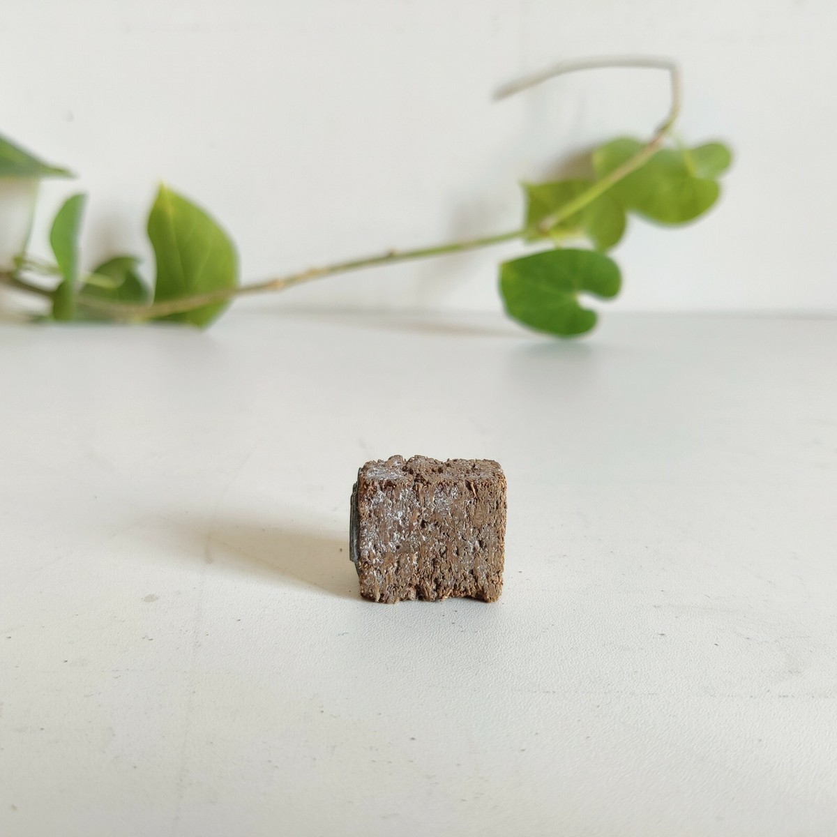 Tampon En Bois Gravé - Vélo Vintage - Bloc D'impression Artisanal Inde
