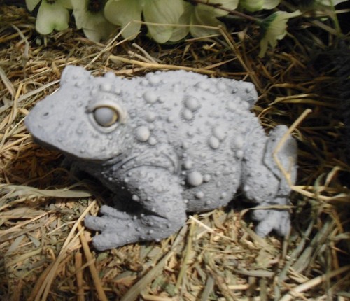 Latex toad frog mold 5" x 4" x 2.5"H with plastic backup plaster concrete