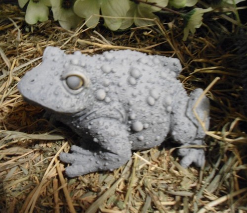 Latex toad frog mold  5" x 4" x 2.5"H with plastic backup plaster concrete - Picture 1 of 3