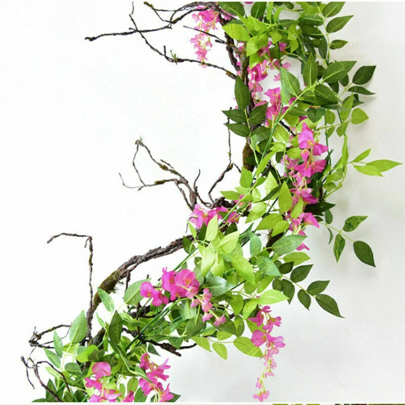 drachenbaum zimmerpflanze kaufen Drachenbaum 'Magenta' kaufen – Mein schöner Garten Shop