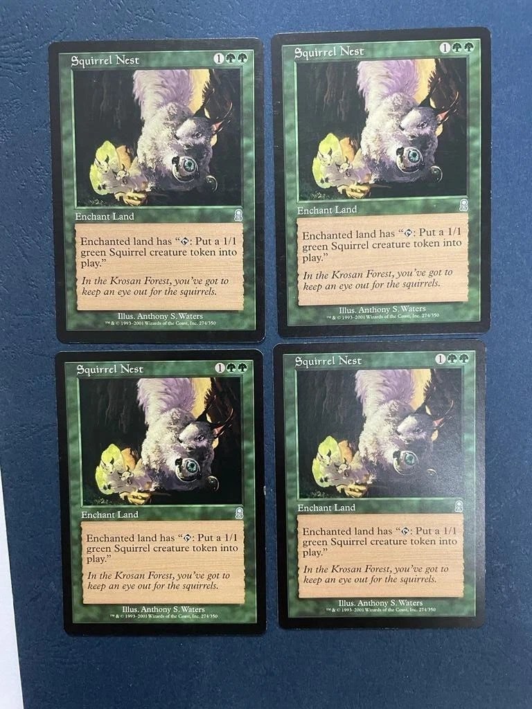 Squirrel Nest Mtg