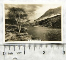 1939 Senior Service Beautiful Scotland No. 36 In Benderloch
