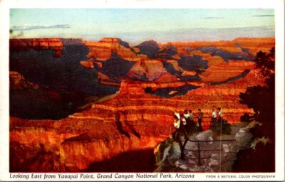 Fred Harvey Postcard View East at Yavapai Point Grand Canyon National Park  3560