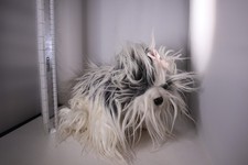 Demdaco Shih Tzu Plush Puppy Dog Realistic Animal Long Hair Brushable Pink Bow