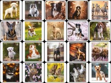 Trixie Kalender 2026 Hunde Katze Pferde Wölf...