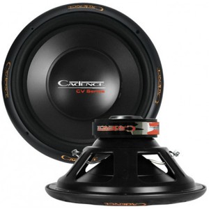 voice speaker for car