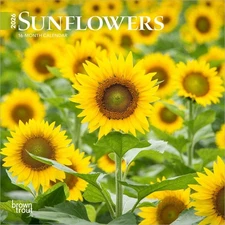 Sunflowers | 2026 7 x 14 Inch (Hanging) Monthly Mini Wall Calendar | BrownTrout