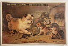 Victorian Trade Card Hood's Sarsaparilla for Catarrh Lowell MA   Dog & Puppies