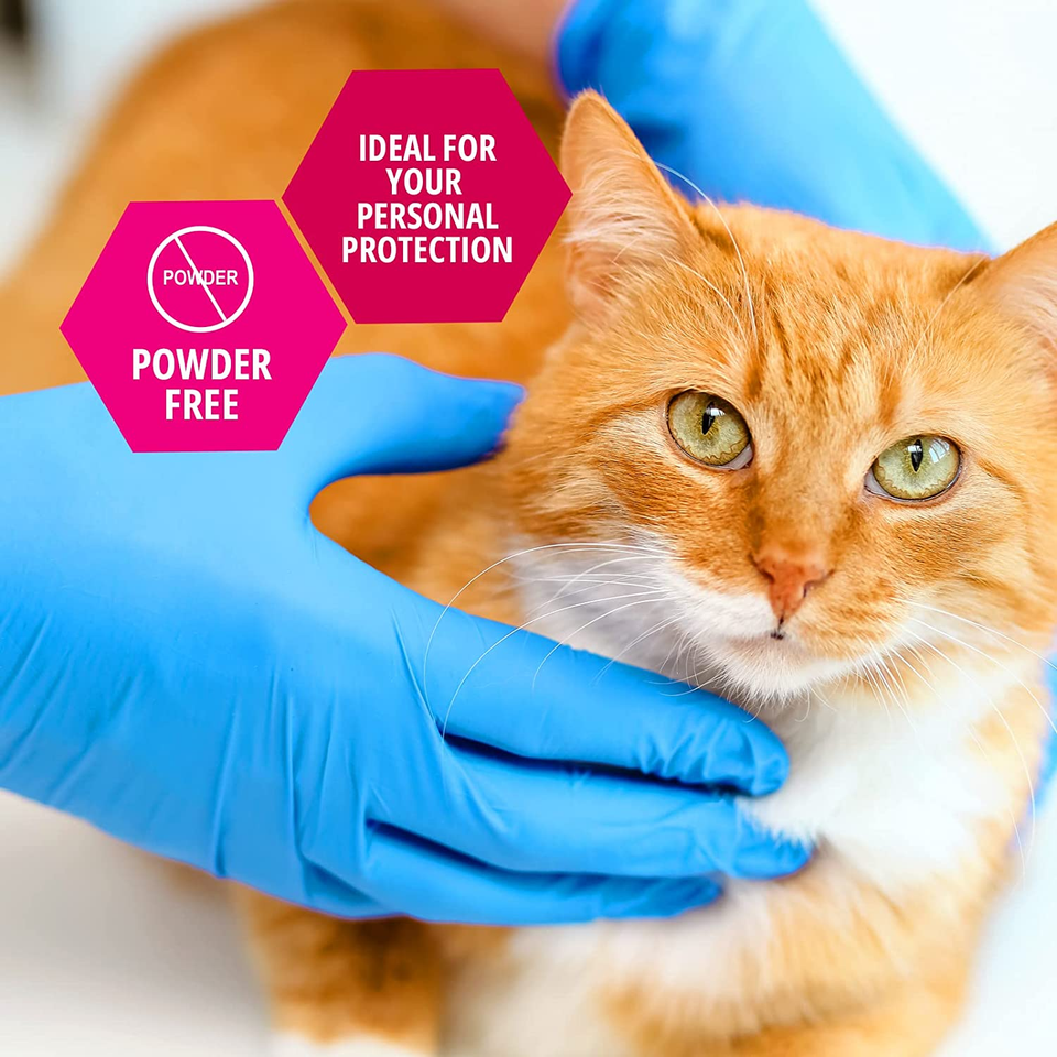 Medpride Nitrile Medical Gloves Medium, 200 Blue LatexFree Gloves eBay