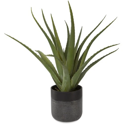 Uttermost 60204 Tucson Textured Matte and Gloss Glazes Aloe Planter - Picture 3 of 3