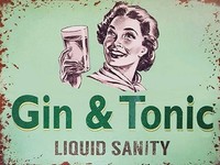 Holzschild 30X40 Cm Alkohol Gin & Tonic Liauid Sanity Deko Geschenk Holz Schild