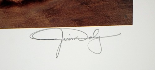 Jim Daly MY BEST FRIENDS Signed Limited Edition Print COA & Portfolio 266/950 - Picture 5 of 8